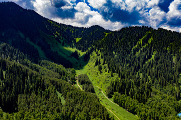 Naklejka premium Gorgeous greens in the landscape and with light painted.