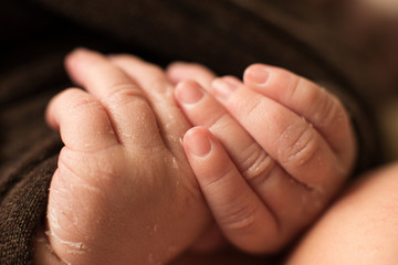 hand of the newborn baby, fingers and nails, maternal care, love and family hugs, tenderness.