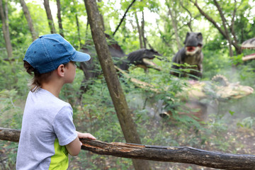 Child looking at dinosaur