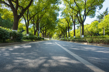 Fototapeta na wymiar country asphalt road and green trees nature landscape in the summer