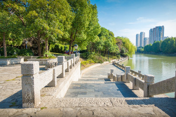 Looking down a tree lined road into the distance