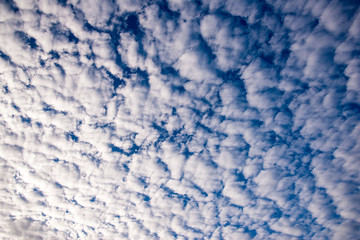 Fototapeta premium ケアンズ、秋の空