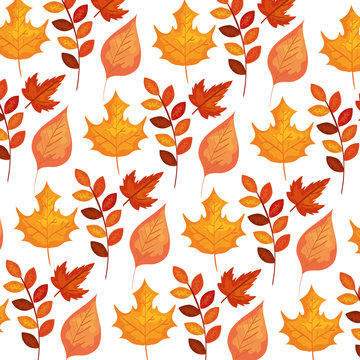 autumn branch and dry maple leafs pattern