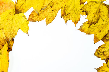 Autumn yellow maple leaves on a wooden background.