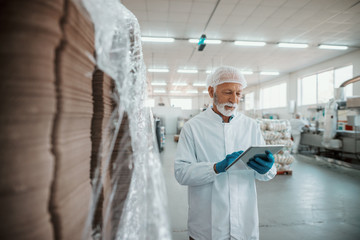 Serious Caucasian senior adult inspector dressed in white uniform using tablet for quality assessment of food in food plant.