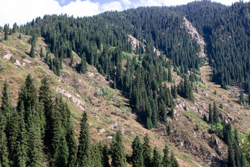 Fototapeta premium view of mountains