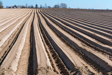 Plowed fields. Agricultural land is being prepared for the sowing season. Smooth furrows of the earth in the fields