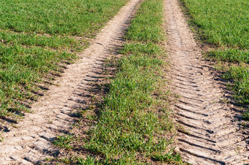 Fototapeta na wymiar Tracks from a tractor on the ground. Tracks from a crawler tractor.