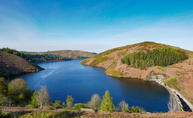 Obraz na płótnie Canvas Llyn Clywedog reservoir in Wales with blue skies and trees.