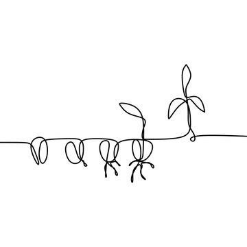 recommend clip art: Phase of plant life continuous one line drawing minimalist vector illustration from seed, root, and leaves