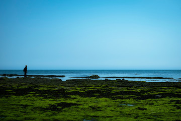 walking on the beach