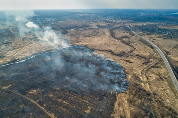 Forest fire. Dry grass burning in the field, near the river.