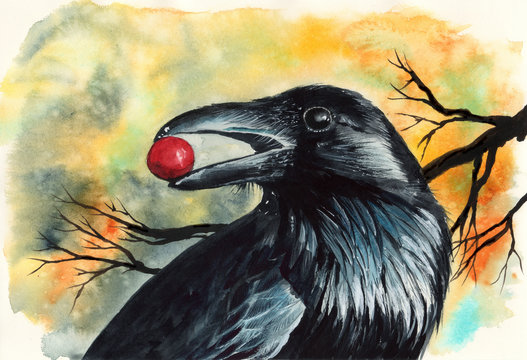 Watercolor picture of a black raven with red berry in its beak with tree branches on the background