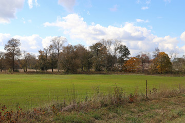 Country Landscape