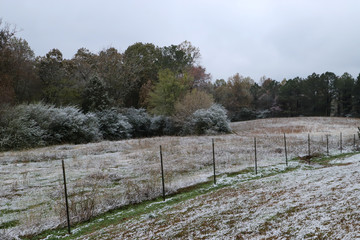 Snow Dusted Field