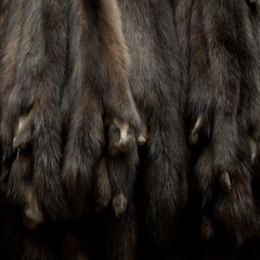 brown mink fur at auction