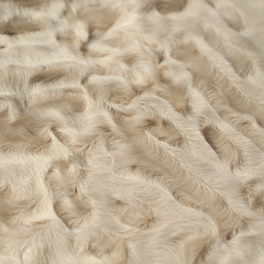 light beige astrakhan fur with a beautiful texture