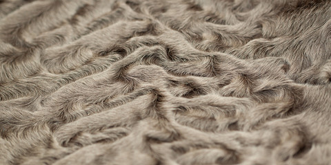 light brown astrakhan fur with a beautiful texture