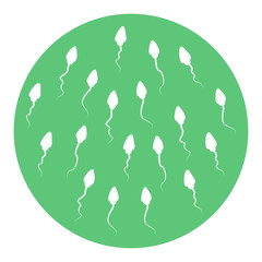 Sperm set. Normal healthy spermatozoids. Reproductive man health