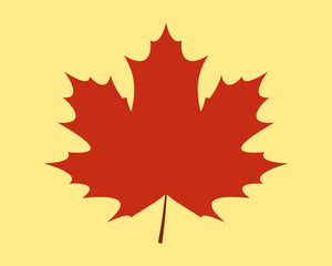 Red maple leaf flat vector icon isolated on yellow background.