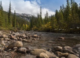 Rio que corre entre las piedras en medio del bosque rodeado por pinos verdes y montañas con un cielo azul y nubes grises en Jasper Alberta canada