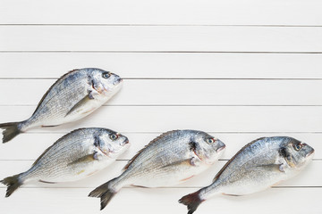 Four Fresh Royal Dorado fish on white wooden background. Healthy food concept. Top view, copy space.
