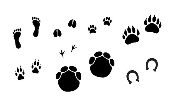 Vector bundle set of black animals foot prints isolated on white background