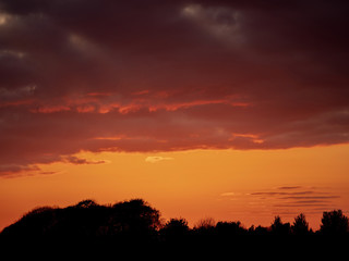 Sunset sky over forest trees silhouettes. Warm orange color.