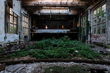 Fototapeta na wymiar Overgrown Auditorium with Skylights - Abandoned Silver Creek School - New York