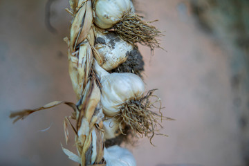 garlic braids prepared to consume