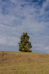 Obraz premium Panorama view in the autumnal nature. With fields trees and quiet nature.