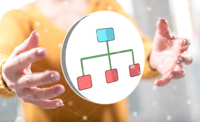 Concept of hierarchy