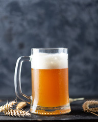 Mug of wheat unfiltered beer close-up with ears of wheat