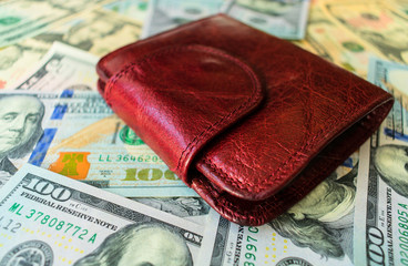  Women's wallet on dolar notes.