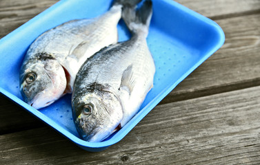 Fresh Sea Bream (Sparus Aurata) (German name is Goldbrasse) on blue Foam tray on wooden floor.