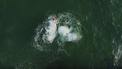Aerial top view of group of young friends jumping from a pier into the sea during beautiful sunrise