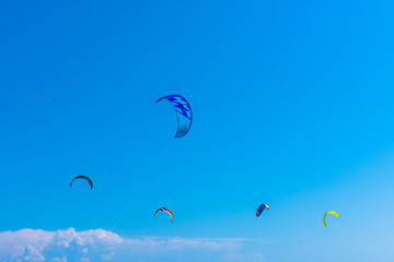 kite flying in the sky