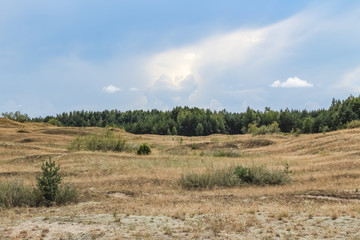 Fototapeta na wymiar Wild sand dunes in Nida, Lithuania. Landscape before the storm, sand and wind, dark sky.