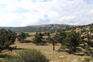 Naklejka premium Symbol of Crimea - Ai-Petry Mount - upper plateau in cloudy weather 