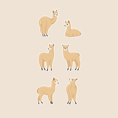 Alpaca icon set. Different type of alpaca. Cartoon illustration for prints, clothing, packaging, stickers, stickers.