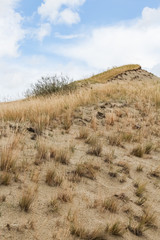 Wild sand dunes in Nida, Lithuania. Landscape before the storm, sand and wind, dark sky.
