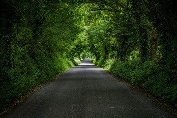 green tunnel