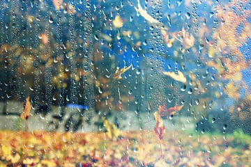 rain window autumn park branches leaves yellow / abstract autumn background, landscape in a rainy window, weather October rain