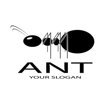 ant vector logo design is simple
