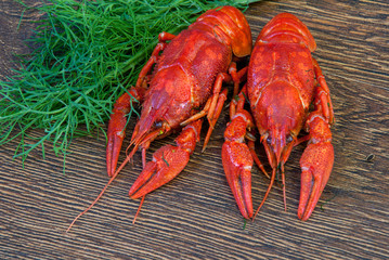 Boiled crayfish with dill on wooden background