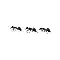 background illustration of ants lining up