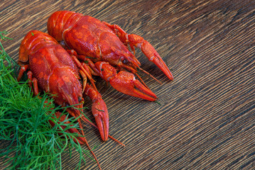 Boiled crayfish with dill on wooden background