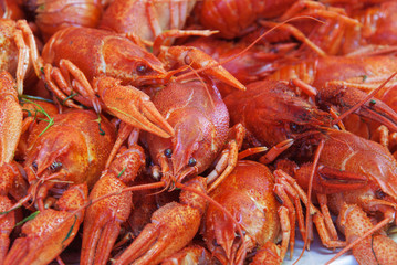 Still life with crayfish crawfish on old wooden background