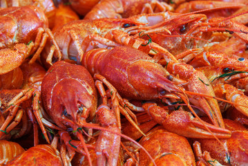 Still life with crayfish crawfish on old wooden background