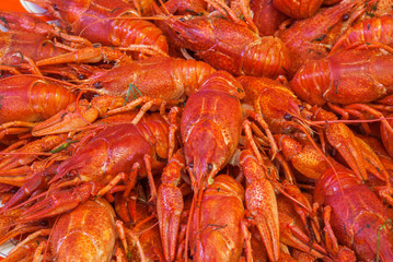 Still life with crayfish crawfish on old wooden background